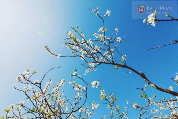 TE1BBB12BhiE1BB83u2BmC3ACnhs2BBlog tuhieuminh.blogspot.com NghE1BB8Bch2BlC3BD2BcE1BBA7a2Bcon2BNgC6B0E1BB9Di