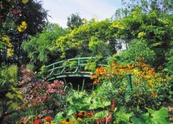 TE1BBB12BhiE1BB83u2BmC3ACnhs2BBlog tuhieuminh.blogspot.com Phong2BhoC3A12Bsuy2BC491E1BB93i