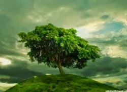 TE1BBB12BhiE1BB83u2BmC3ACnhs2BBlog tuhieuminh.blogspot.com Ta2BlC3A02Bai