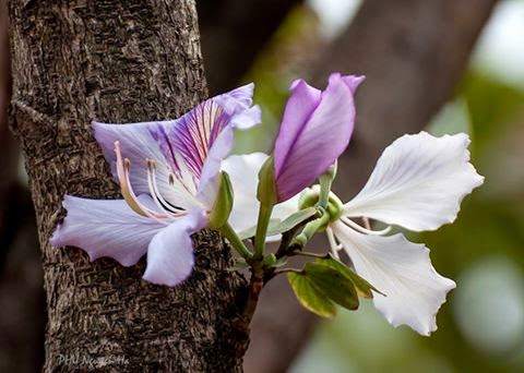 TE1BBB12BhiE1BB83u2BmC3ACnhs2BBlog tuhieuminh.blogspot.com ThE1BB9D2BcC3BAng2BC491C3BAng2BchC3A1nh2BphC3A1p