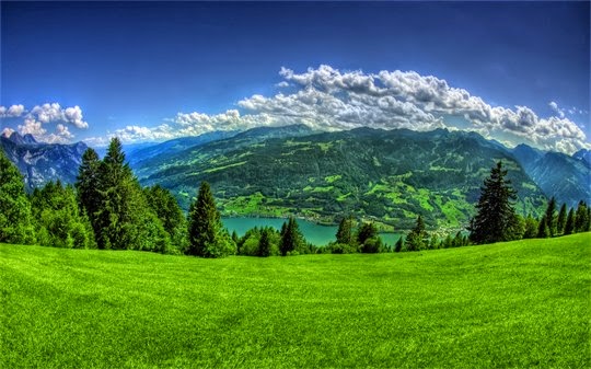 TE1BBB12BhiE1BB83u2BmC3ACnhs2BBlog tuhieuminh.blogspot.com VE1BB872Bsinh2BtC3A2m