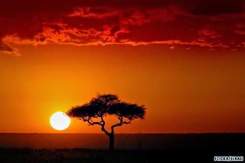 e nhan loai song trong khu vuon choi 1820219928