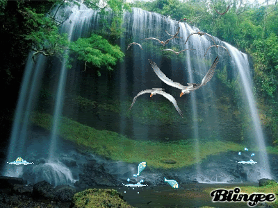 kiep nguoi ton giao va vai cach nhin 800771580