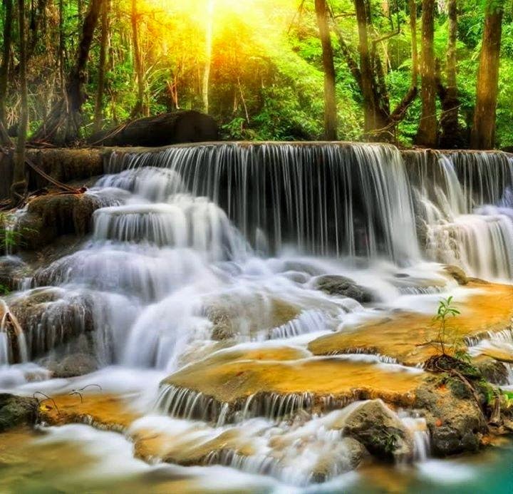 neu thieu van hoa se chi la van minh 1299075834