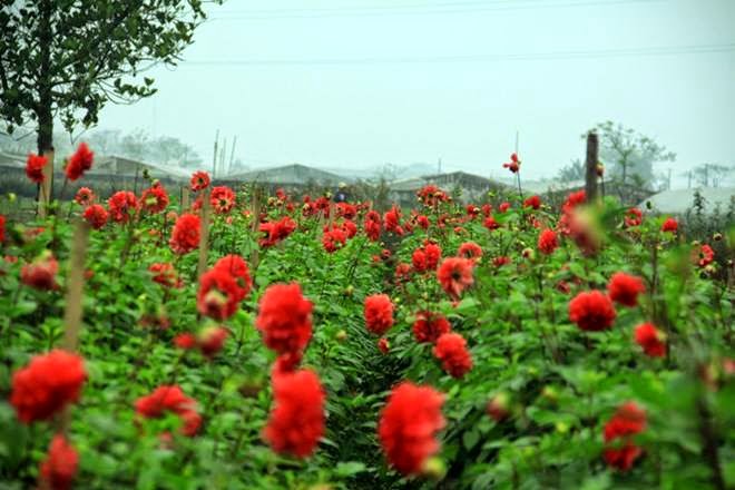 TE1BBB12BhiE1BB83u2BmC3ACnhs2BBlog tuhieuminh.blogspot.com BC3AD2BquyE1BABFt2BgiE1BAA3i2BthoC3A1t