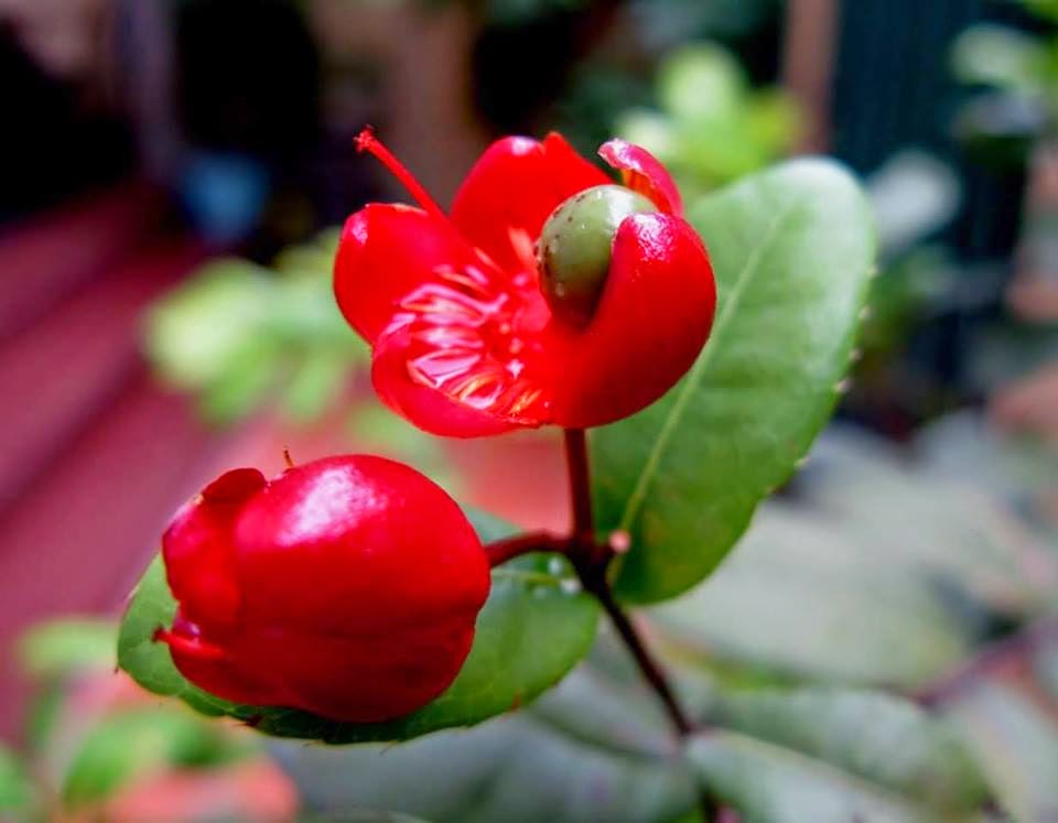 TE1BBB12BhiE1BB83u2BmC3ACnhs2BBlog tuhieuminh.blogspot.com QuC3A1n2BthE1BBB1c2BphE1BAA9m2BbE1BAA5t2BtE1BB8Bnh