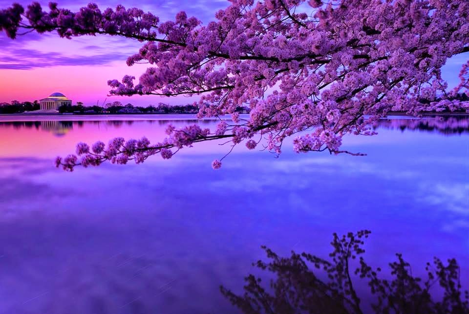 TE1BBB12BhiE1BB83u2BmC3ACnhs2BBlog tuhieuminh.blogspot.com TC3A0m2BquC3BD