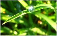 TE1BBB12BhiE1BB83u2BmC3ACnhs2BBlog tuhieuminh.blogspot.com TE1BBAB2BbE1BB8F2BtC3A2m2Btham