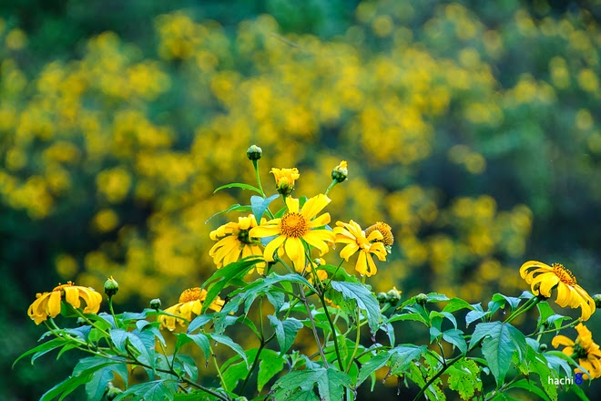 TE1BBB12BhiE1BB83u2BmC3ACnhs2BBlog tuhieuminh.blogspot.com ThC3A1nh2BhE1BAA1nh2BkhC3B4ng2BdC3A2m2BdE1BBA5c