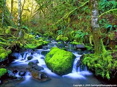 202BPhC3A1p2Bcho2BngC6B0E1BB9Di2BmE1BB9Bi2Btu2BtE1BAADp