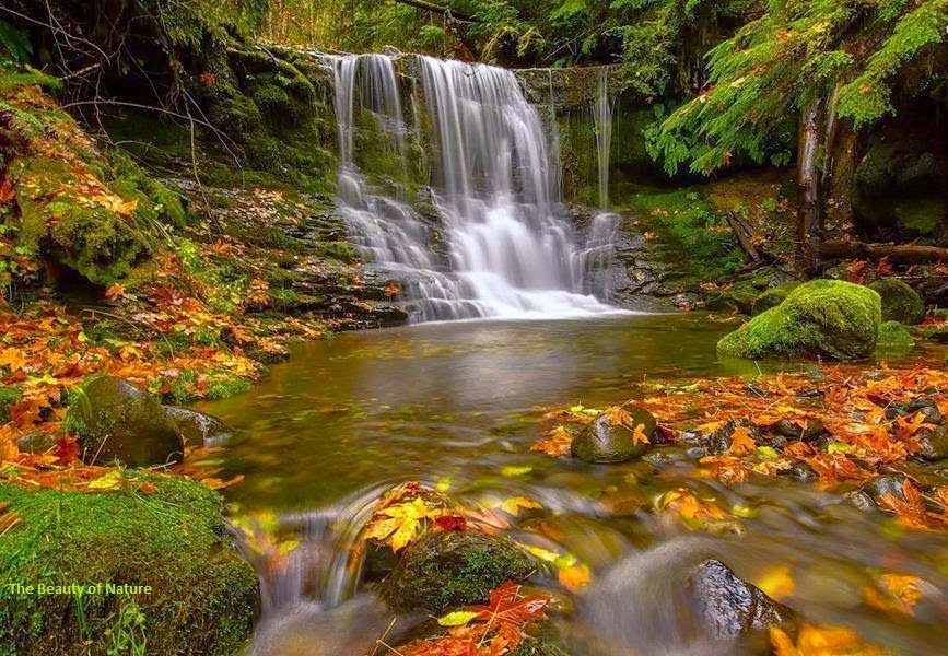 TE1BBB12BhiE1BB83u2BmC3ACnhs2BBlog tuhieuminh.blogspot.com PhC3A1p2BmC3B4n2BdE1BAABn2BtC3A2m