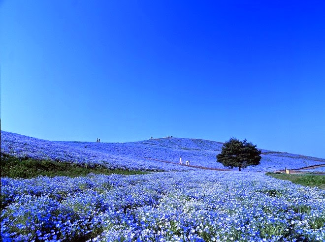 thoi khoa tu tap cho nguoi cu si 1373616275