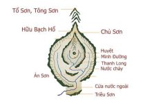 kien thuc co ban ve phong thuy am trach