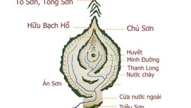 kien thuc co ban ve phong thuy am trach